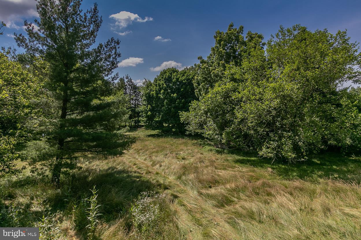 4640 Paradise Road Dover, PA 17315 - Photo 9 of 47 Surplus land at rear of property.
