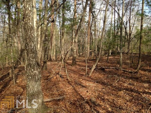 293 Hooper Road Cleveland, GA 30528 - Photo 1 of 1