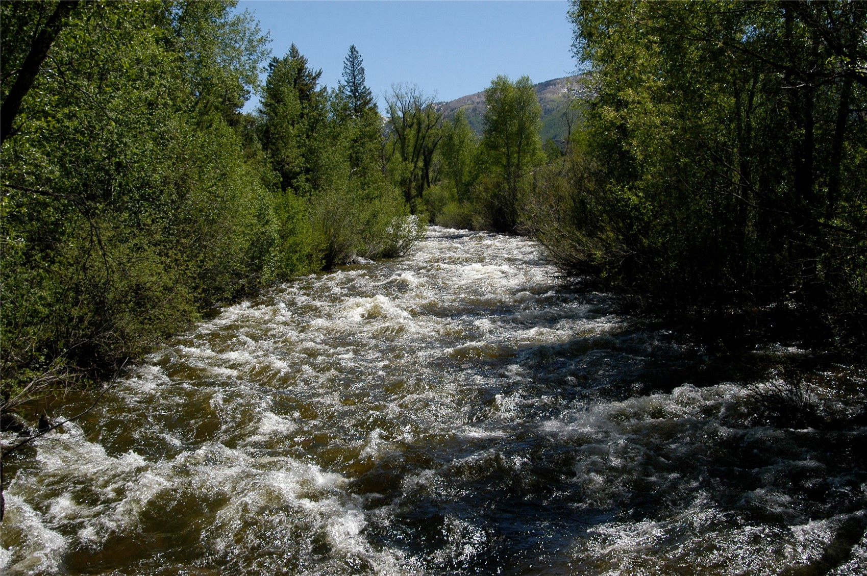 900 Angels View Way Steamboat Springs, CO 80487 - Photo 8 of 13