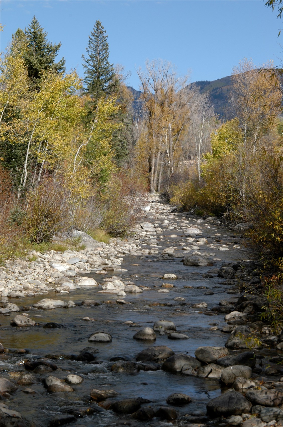 900 Angels View Way Steamboat Springs, CO 80487 - Photo 9 of 13