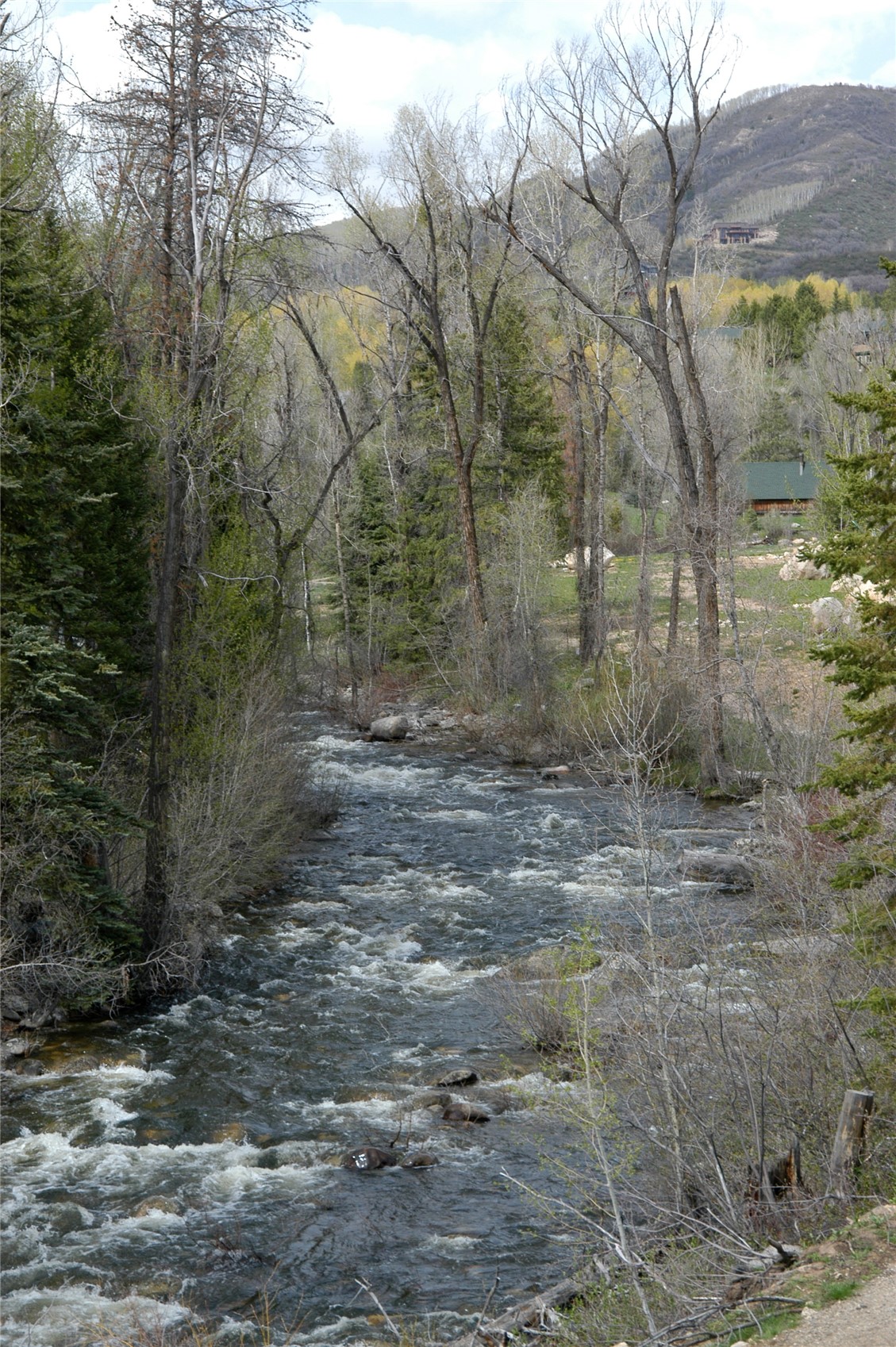 900 Angels View Way Steamboat Springs, CO 80487 - Photo 10 of 13
