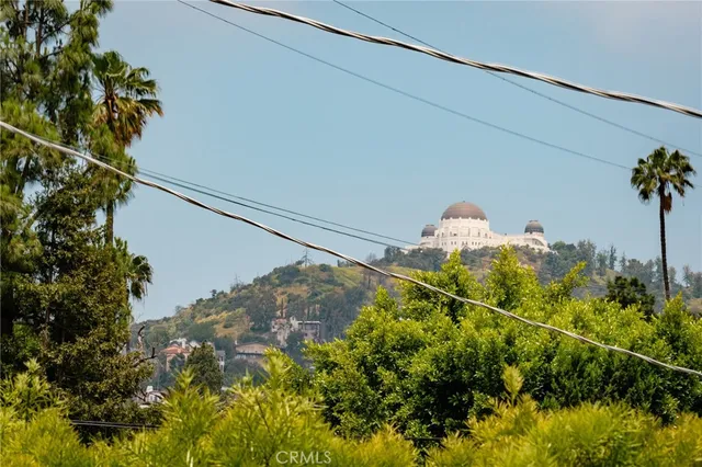 a close up of a plant in a garden