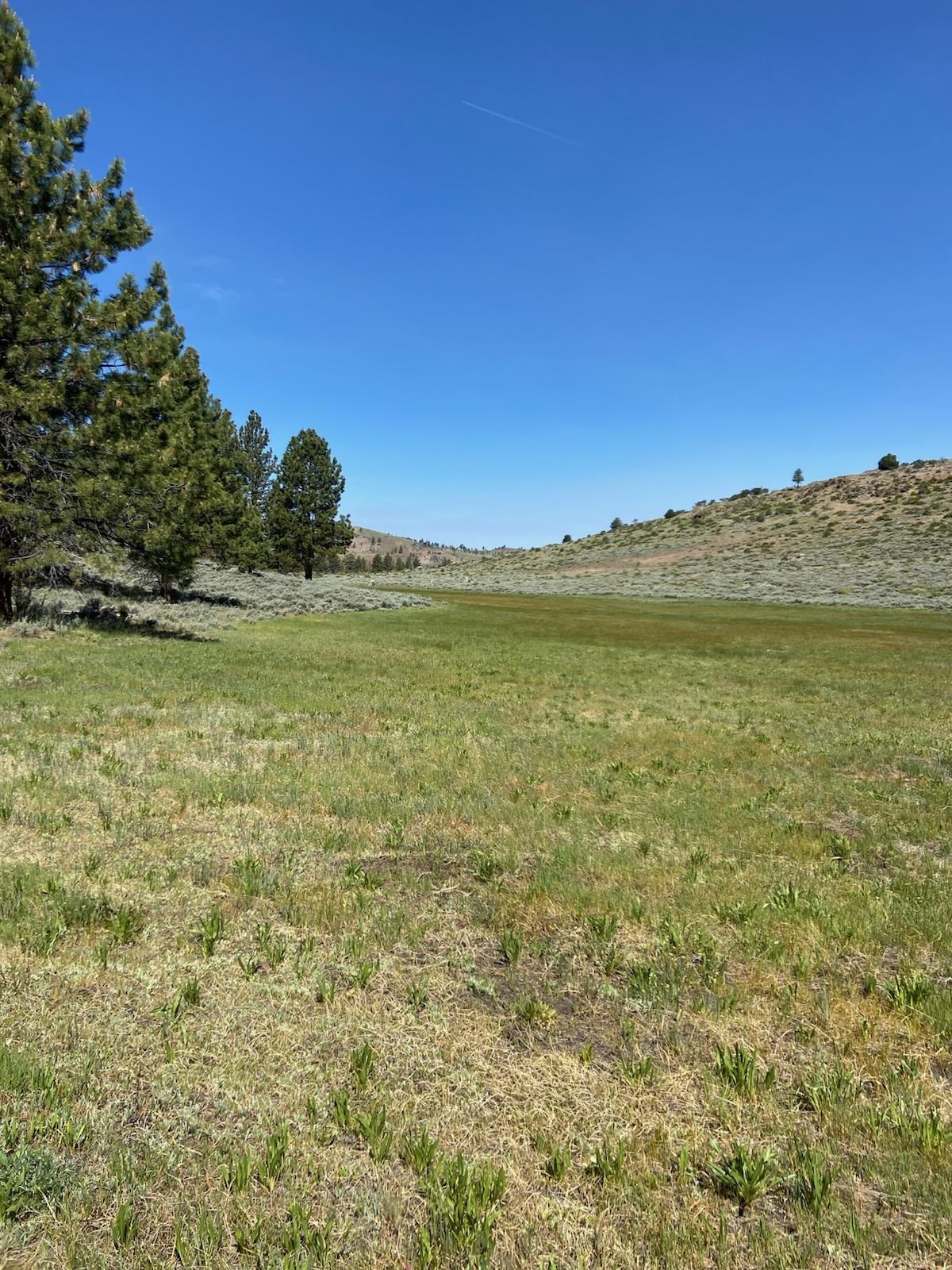 Xxxx Doyle Grade Road Doyle, CA 96109 - Photo 4 of 10