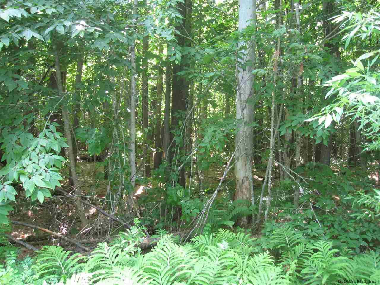 168 Rice Road Salisbury, NY 13454 - Photo 3 of 5 Photo 3