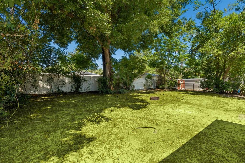 11206 North Arden Avenue Tampa, FL 33612 - Photo 31 of 40