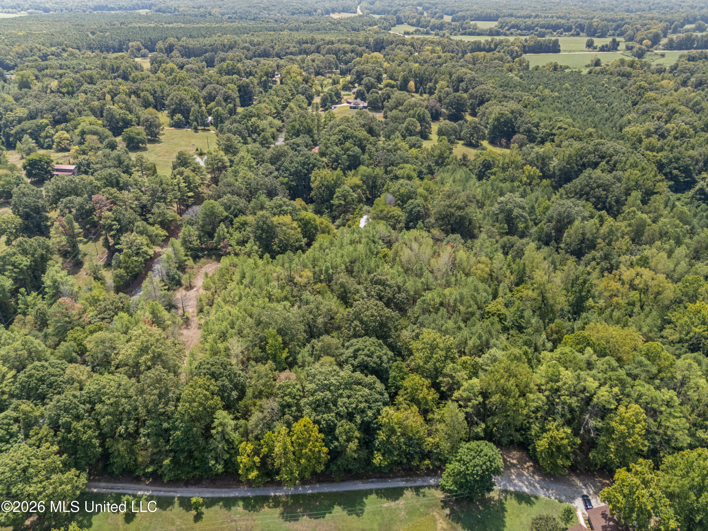 Brownlee Road Sarah, MS 38665 - Photo 4 of 20 6_dji_20260824124748_0093_d_print