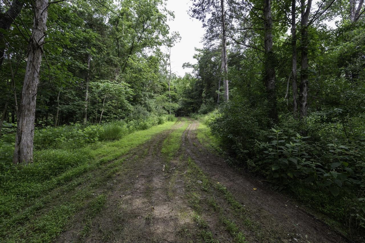 6325 Page Valley Road Luray, VA 22835 - Photo 54 of 54 Gallery Image 54