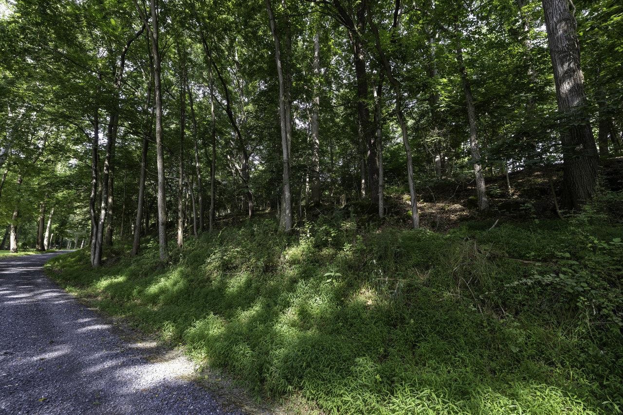 6325 Page Valley Road Luray, VA 22835 - Photo 10 of 54 Gallery Image 10