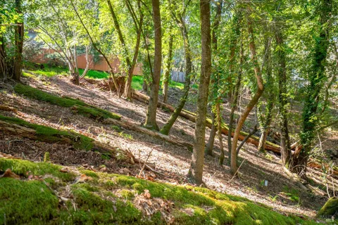 a view of backyard with green space