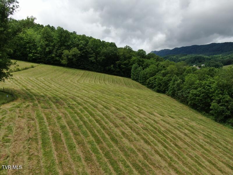 290 Snyder Ridge Road Rose Hill, VA 24281 - Photo 4 of 48 8139e18b-1fa4-4d67-9981-f834023fb12a