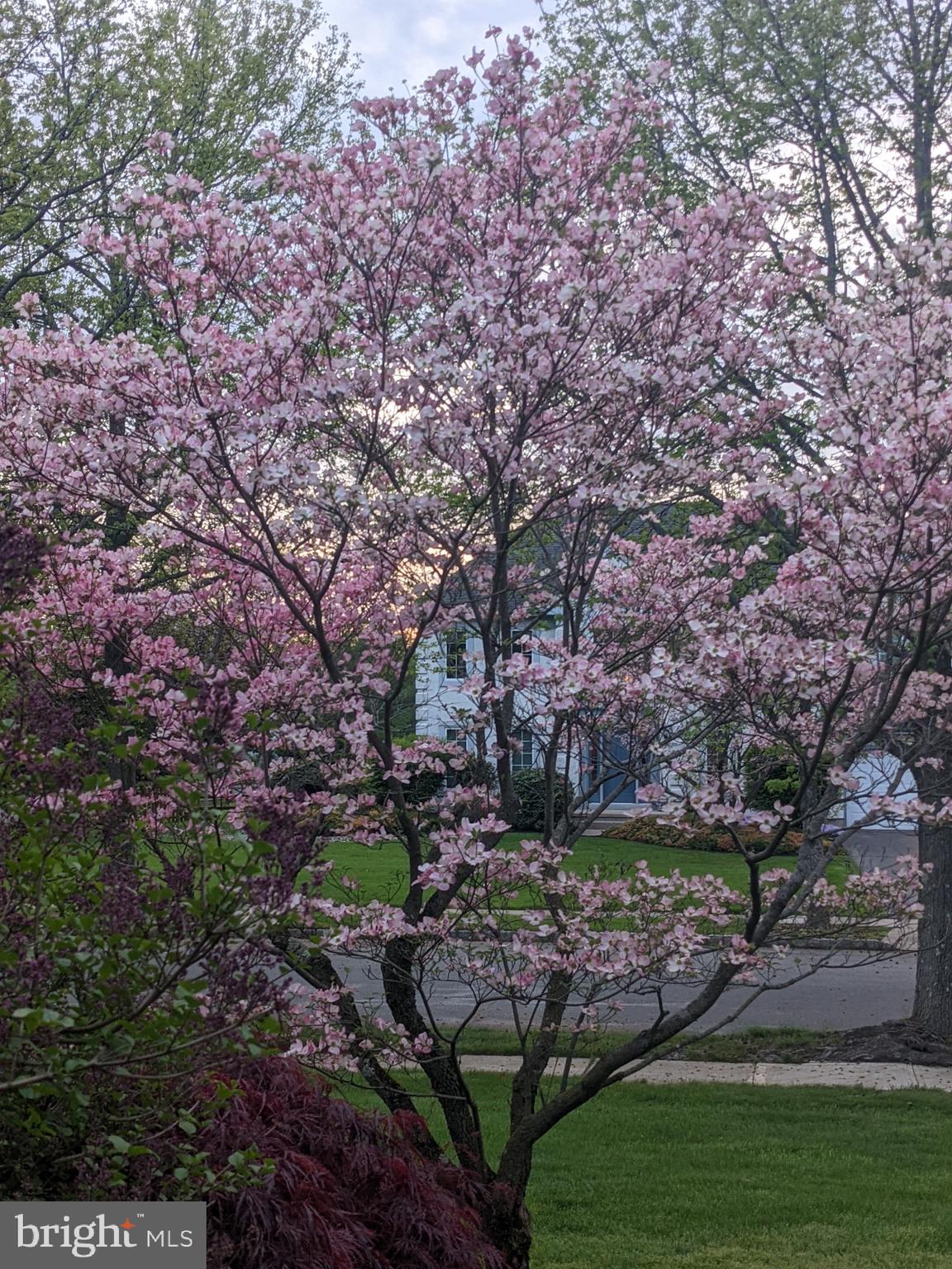 15 Perrine Path Princeton Junction, NJ 08550 - Photo 38 of 43