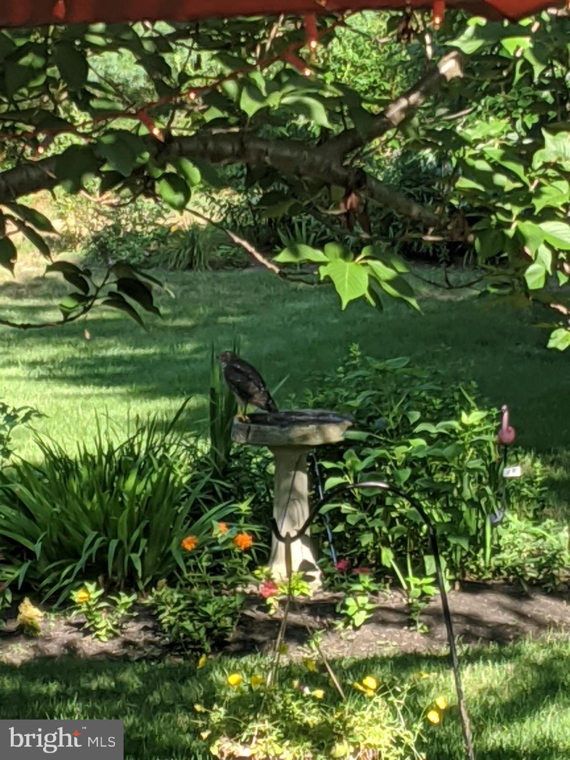 15 Perrine Path Princeton Junction, NJ 08550 - Photo 39 of 43