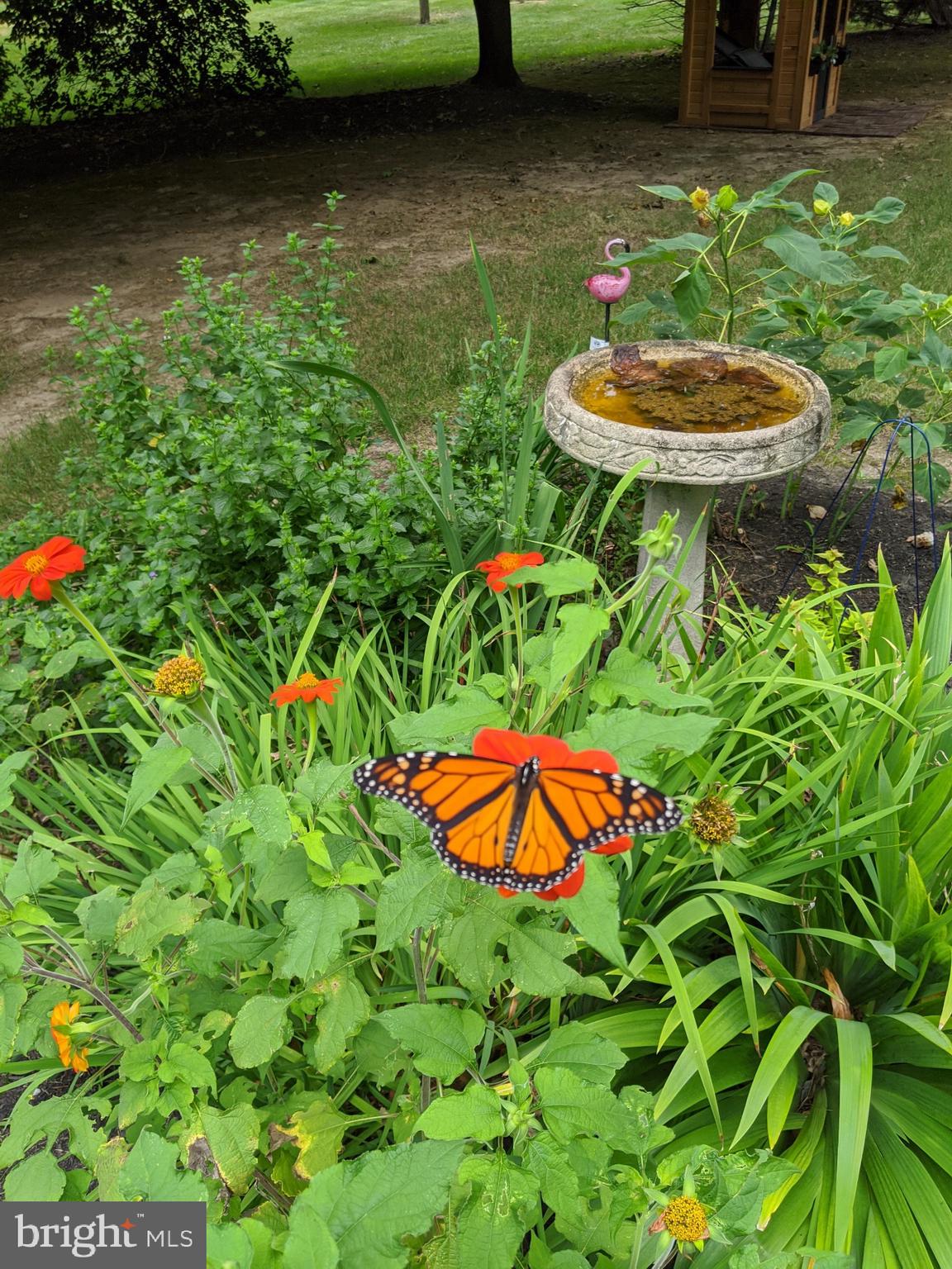 15 Perrine Path Princeton Junction, NJ 08550 - Photo 40 of 43