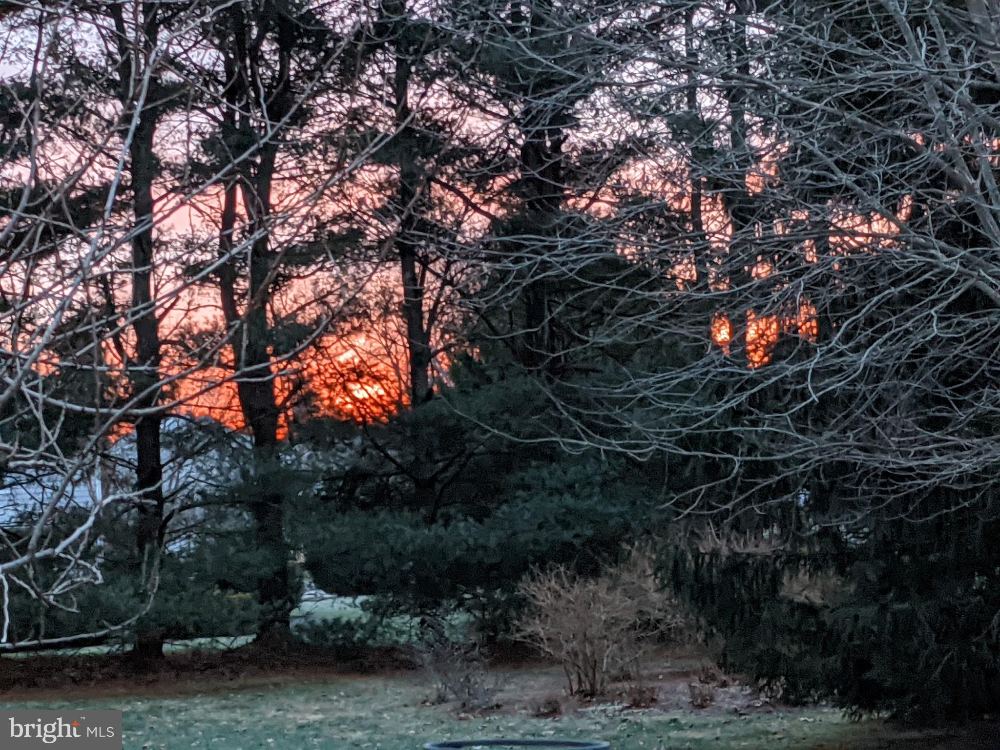 15 Perrine Path Princeton Junction, NJ 08550 - Photo 41 of 43