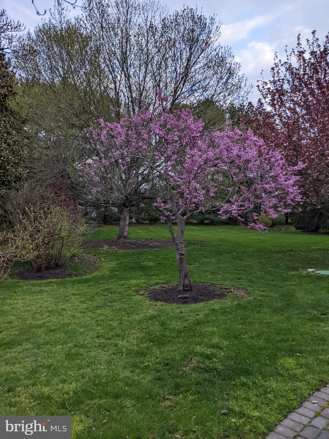 15 Perrine Path Princeton Junction, NJ 08550 - Photo 42 of 43