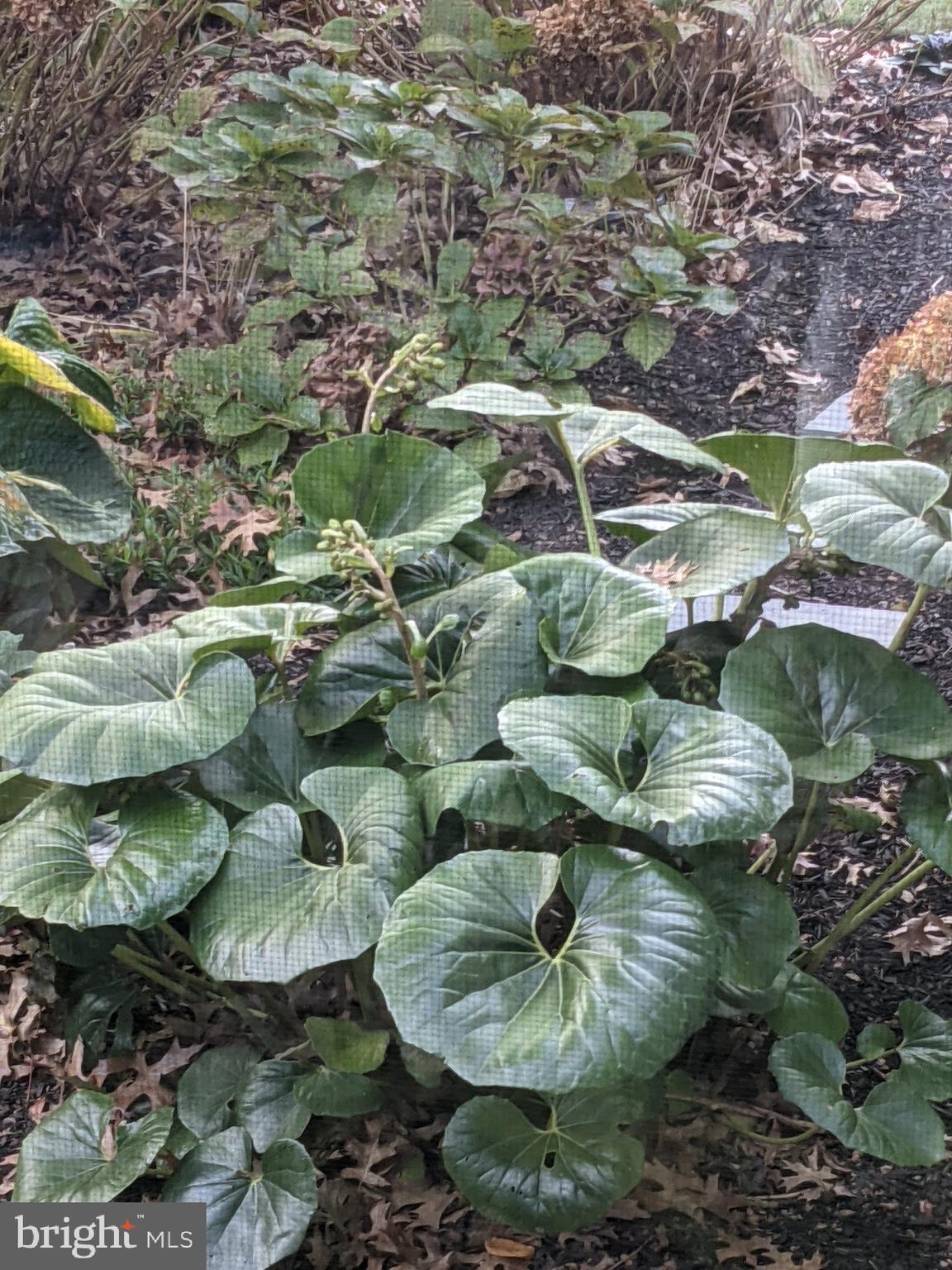 15 Perrine Path Princeton Junction, NJ 08550 - Photo 43 of 43