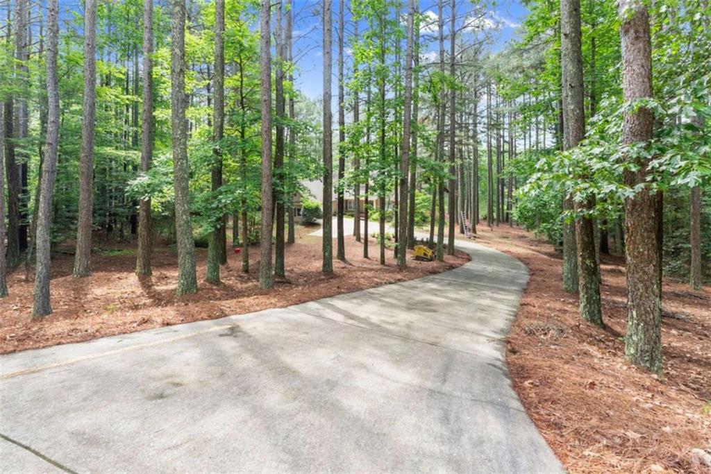 404 Golden Delicious Road Clarkesville, GA 30523 - Photo 70 of 100