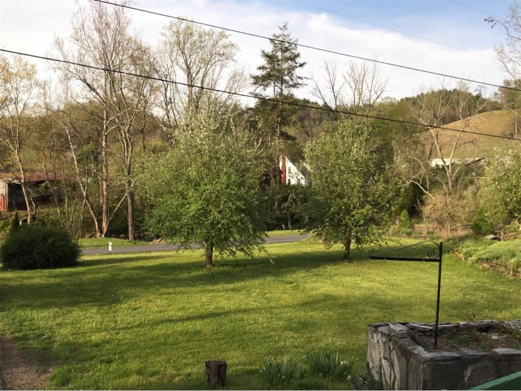 123 Pandora Fork Lane Butler, TN 37640 - Photo 26 of 27 Front Lawn
