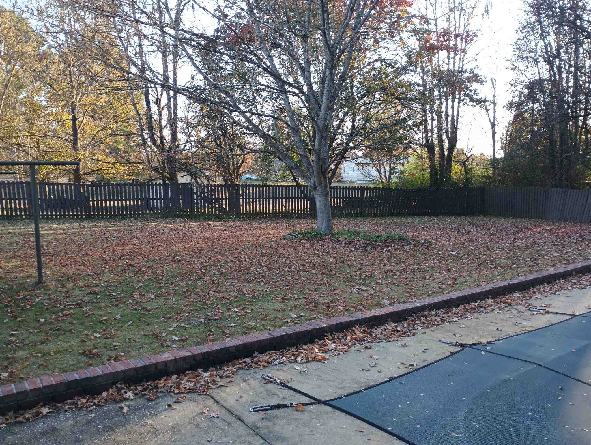 540 Willoughby Loop Savannah, TN 38372 - Photo 8 of 25 a view of a yard with trees