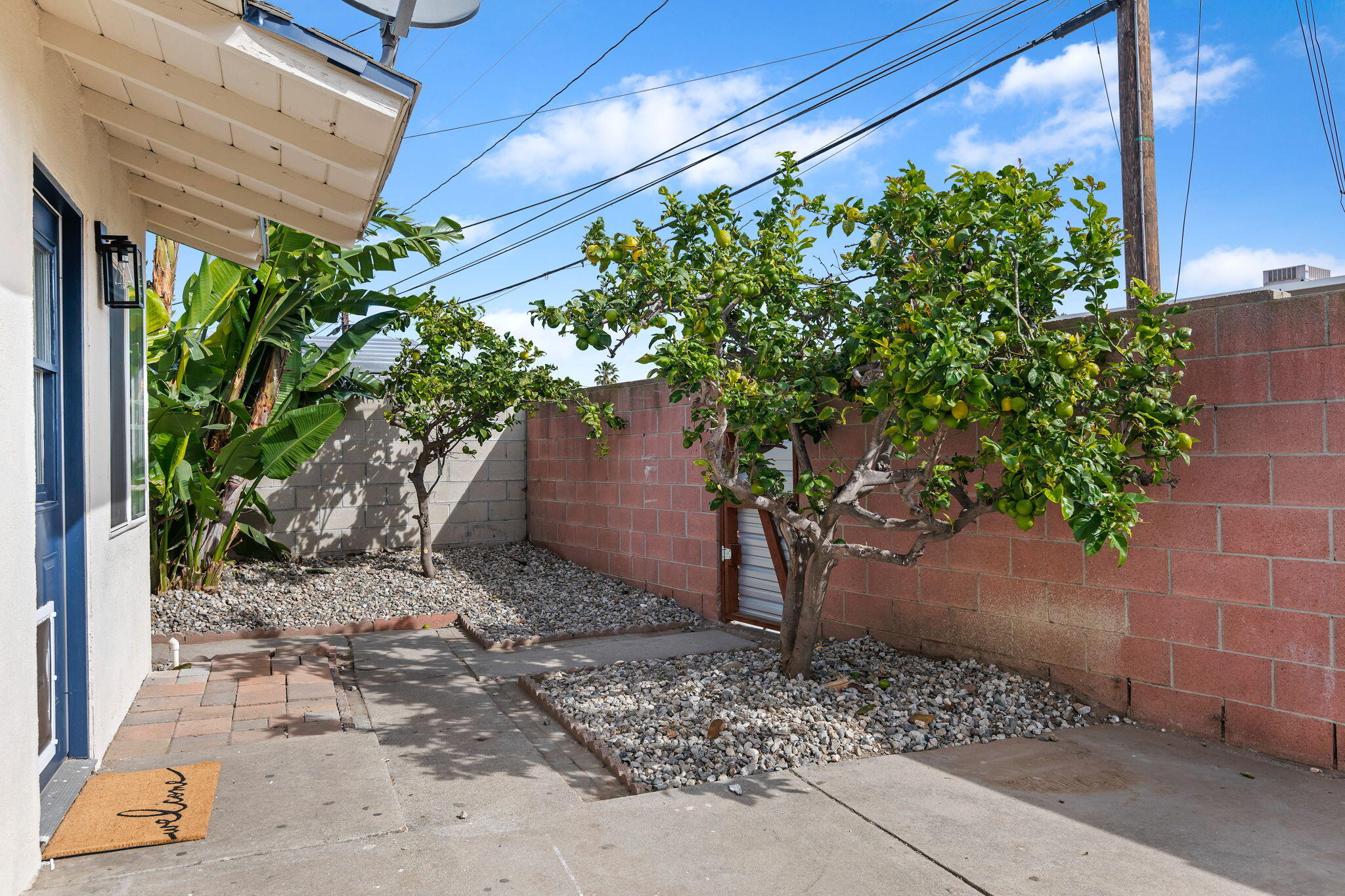 4200 South A Street Oxnard, CA 93033 - Photo 16 of 23 a plant is in front of a house