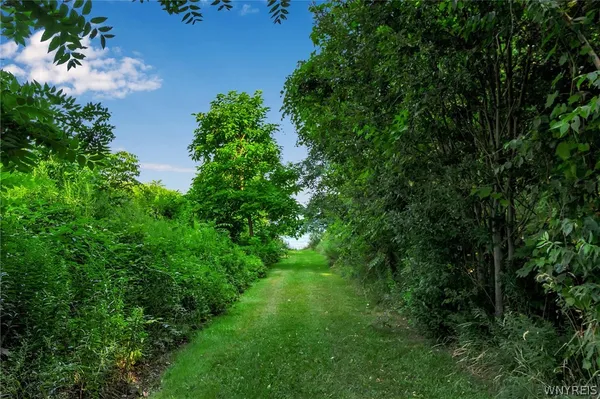 $45,000 | V/l V/l Hummingbird Lane, Appleton, NY 14008