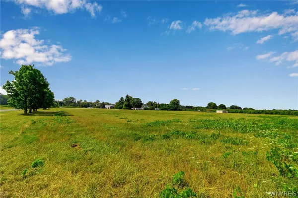 $45,000 | V/l V/l Hummingbird Lane, Appleton, NY 14008