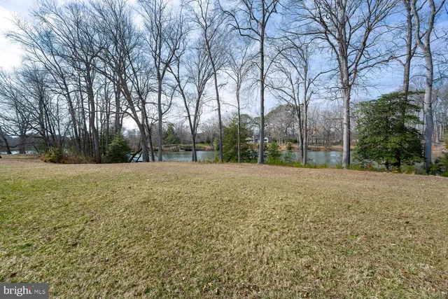 a view of a park with large trees