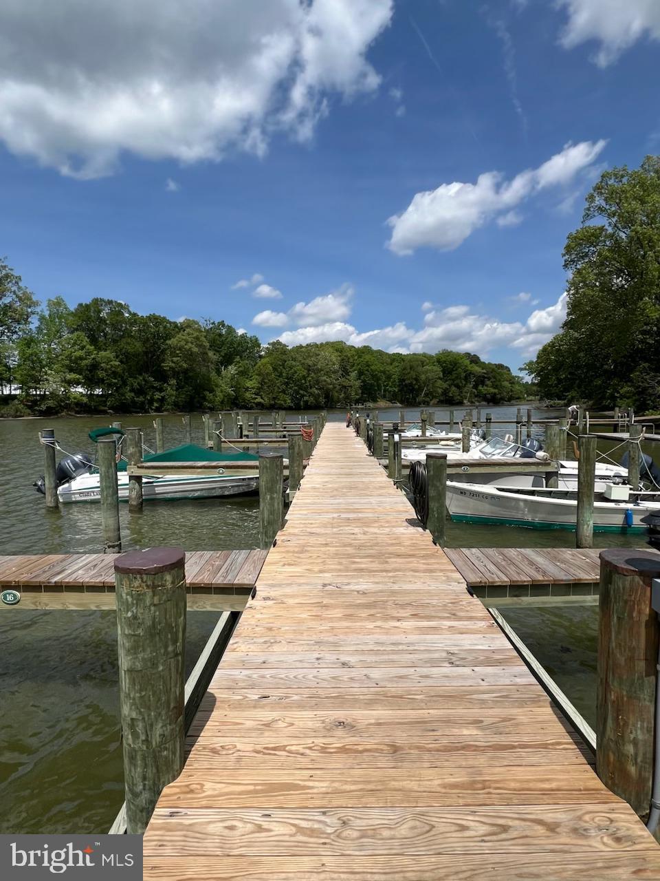 6780 Cookes Hope Road Easton, MD 21601 - Photo 50 of 60 Community pier