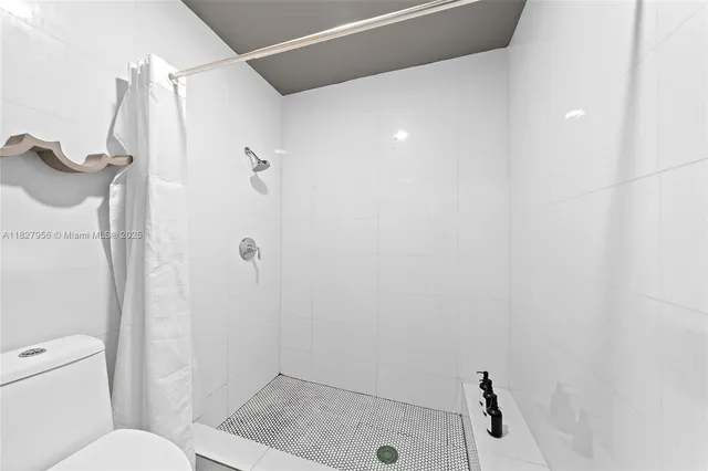 a bathroom with a shower and a toilet