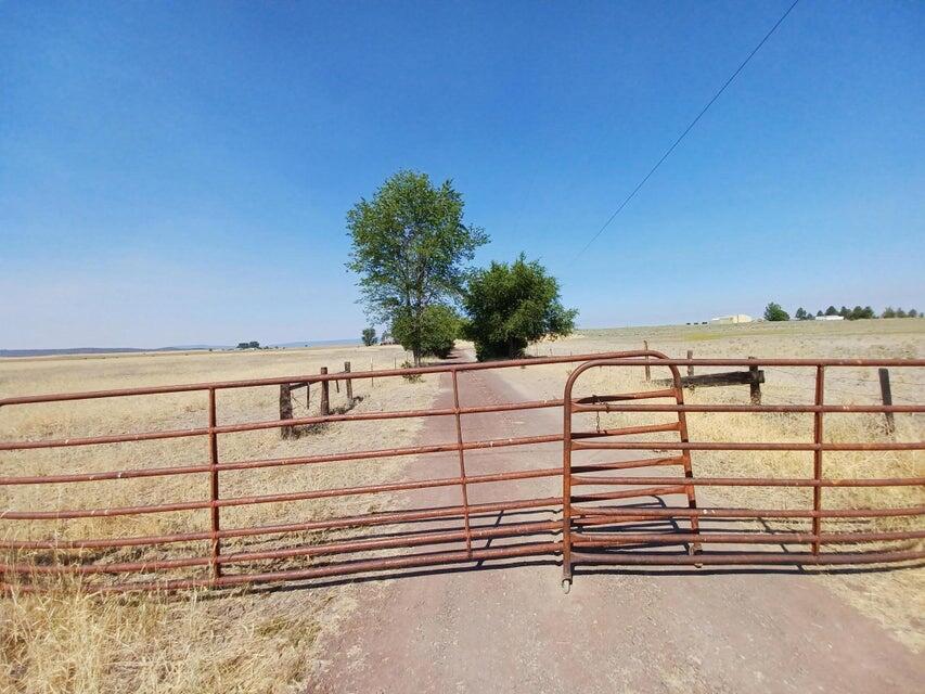 557-435 Center School House Road Bieber, CA 96009 - Photo 7 of 24 a view of a white building