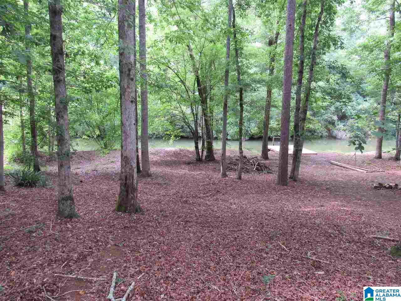 318 Pine Ridge Road Wedowee, AL 36278 - Photo 4 of 20