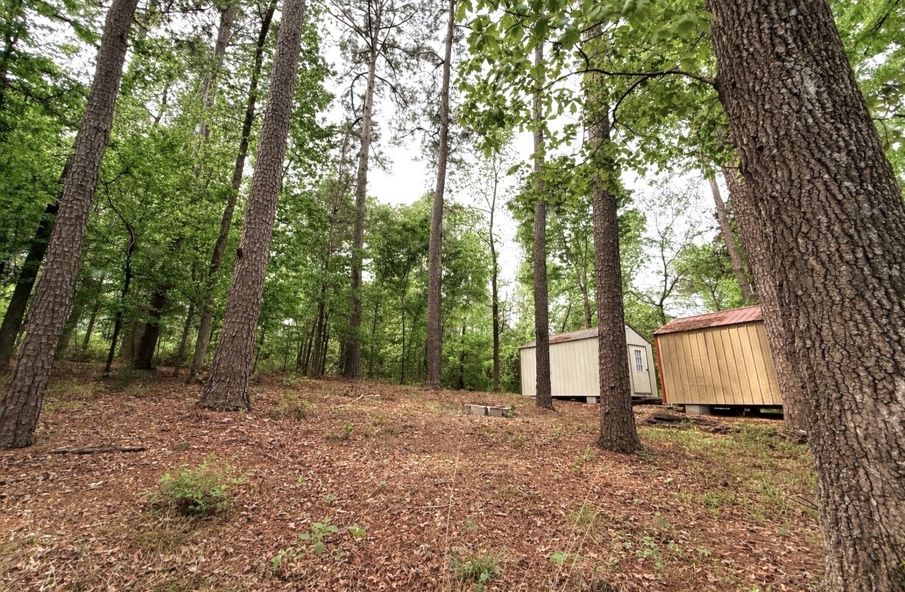Tbd Lakeshore Point Livingston, TX 77351 - Photo 1 of 15 View of lot and sheds from back of property