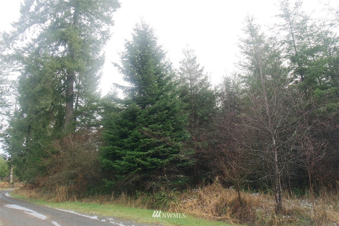 132 Stevenson Road Chehalis, WA 98532 - Photo 9 of 25