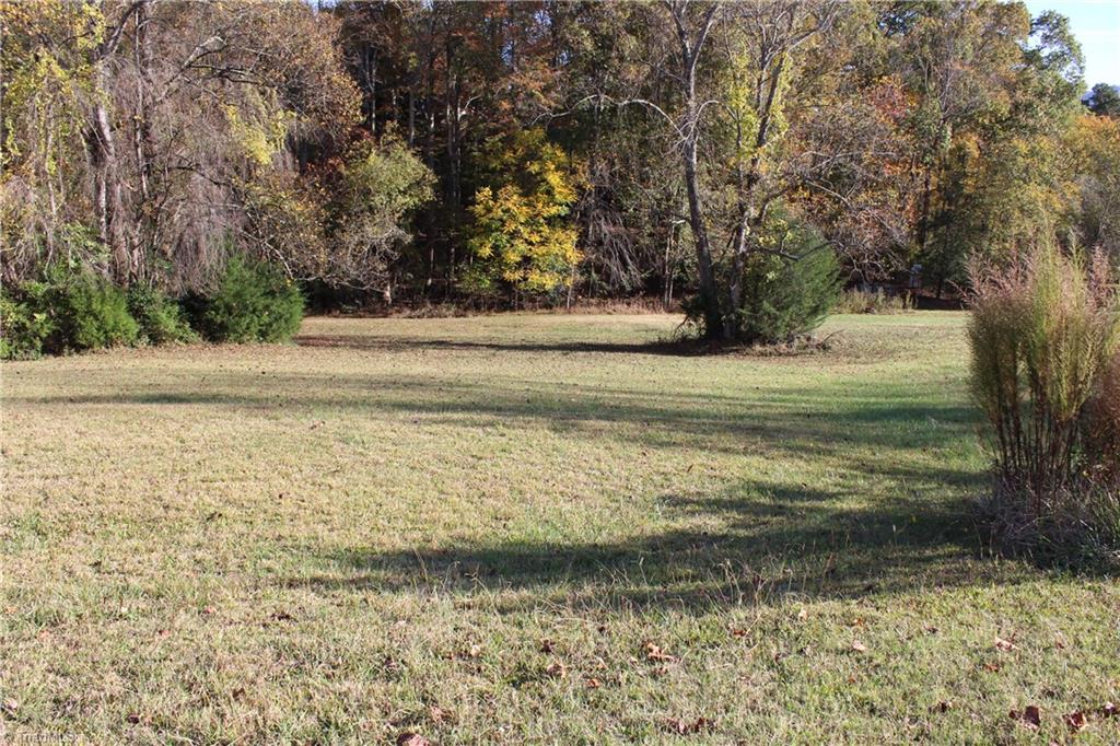 0 Mountain View Road Pilot Mountain, NC 27041 - Photo 6 of 9 Gallery Image 6