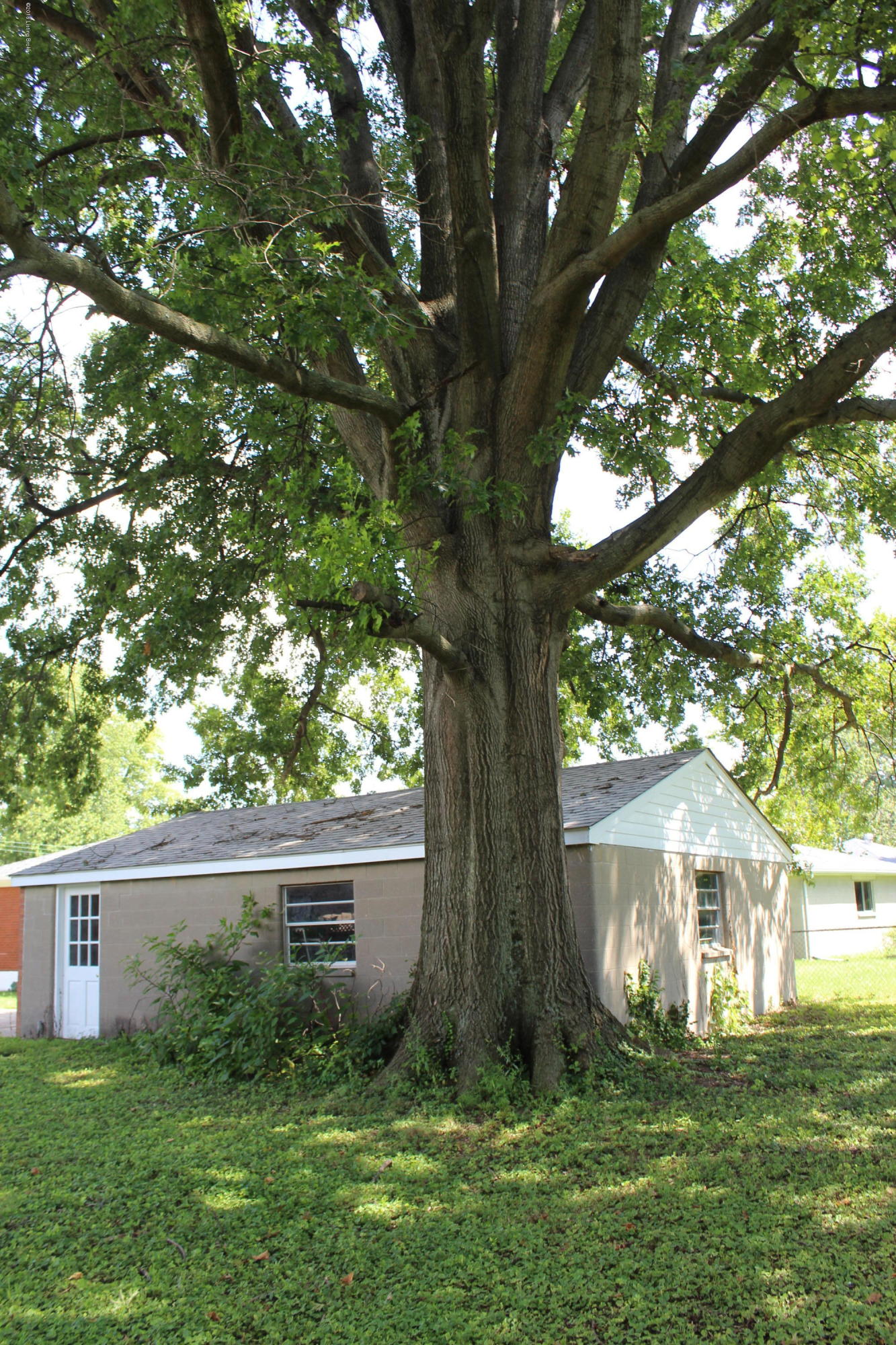 3104 Wayne Road Louisville, KY 40216 - Photo 32 of 32 IMG_0496_1