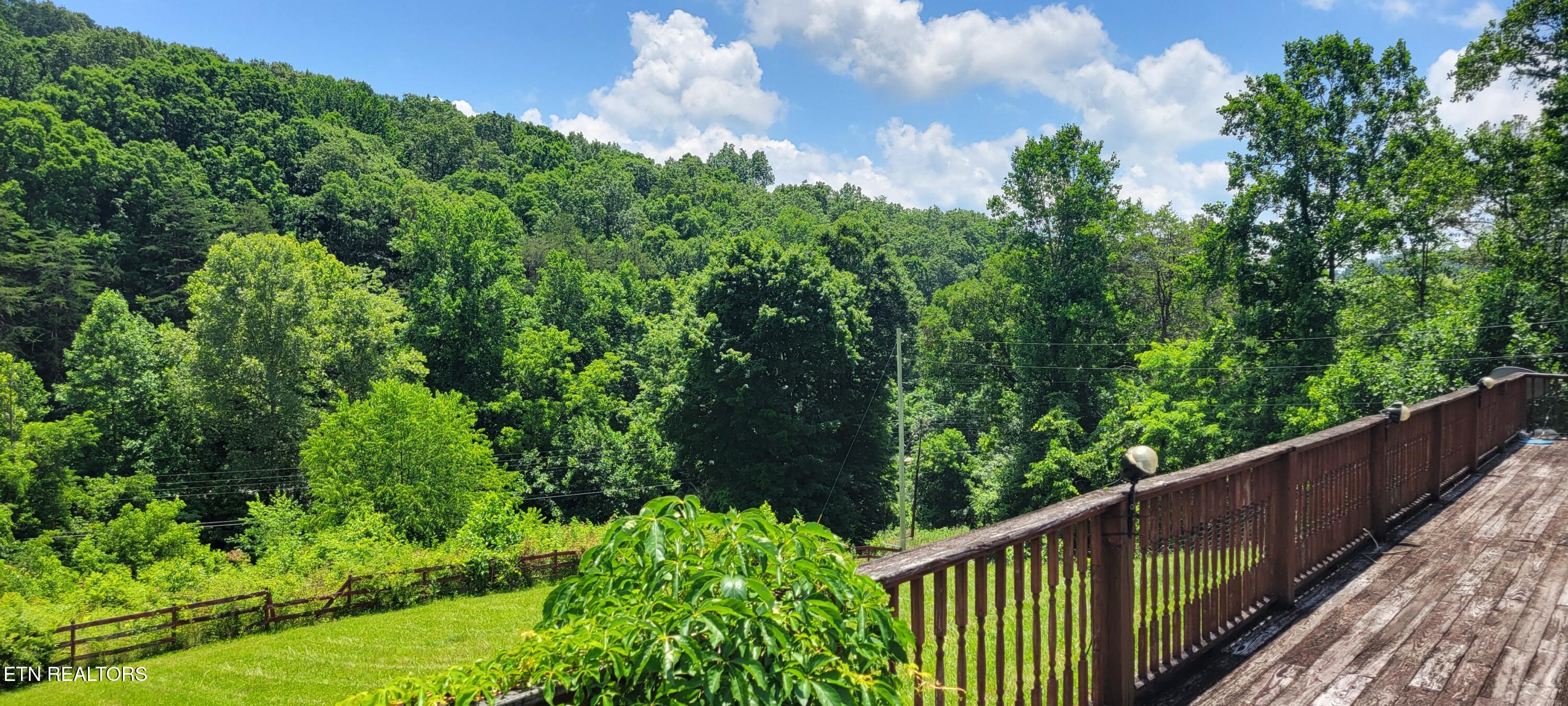 151 Rolen Road New Tazewell, TN 37825 - Photo 36 of 38 36