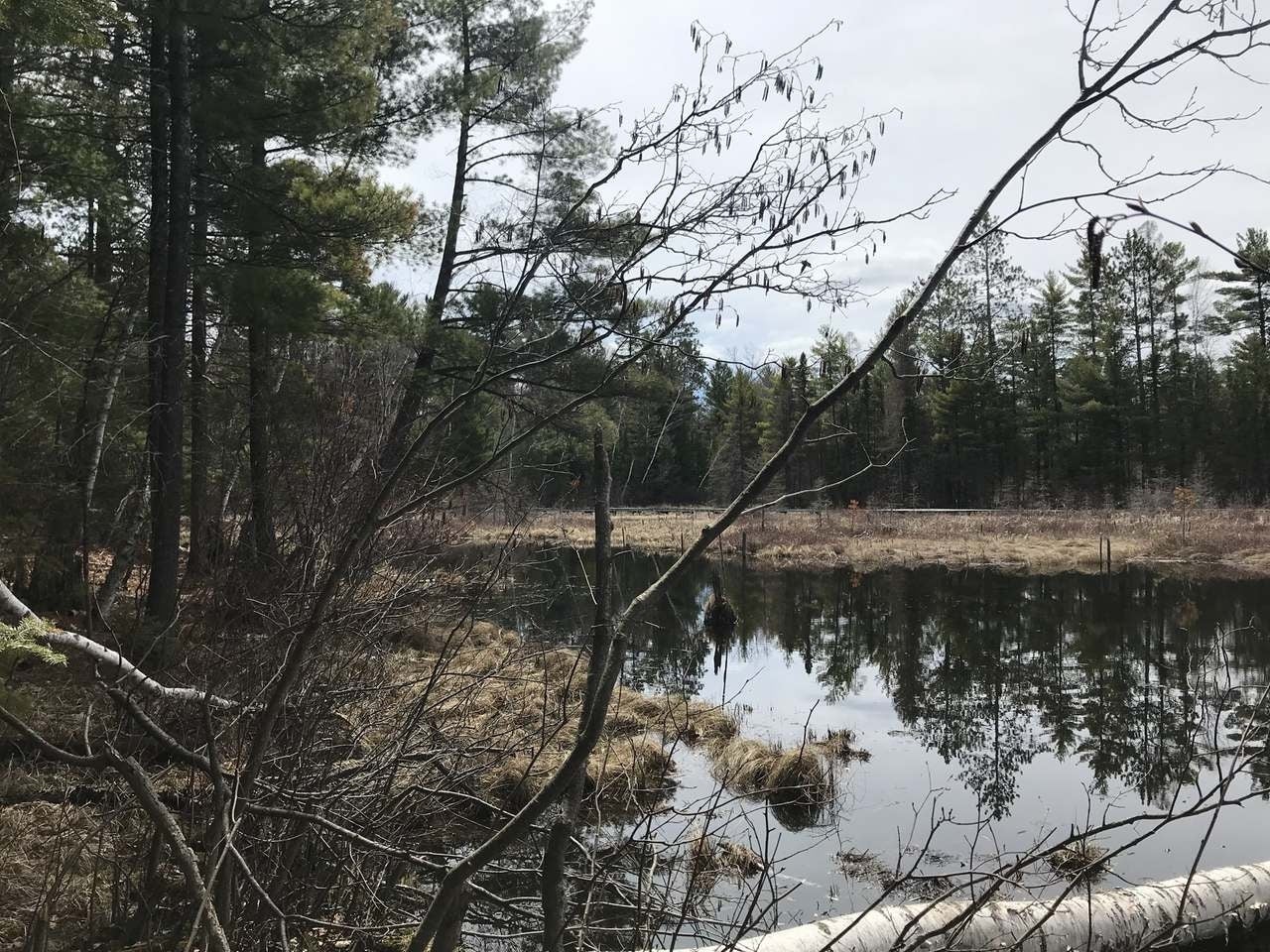Lot 2 Thoroughfare Road Minocqua, WI 54548 - Photo 7 of 15 Gallery Image 7