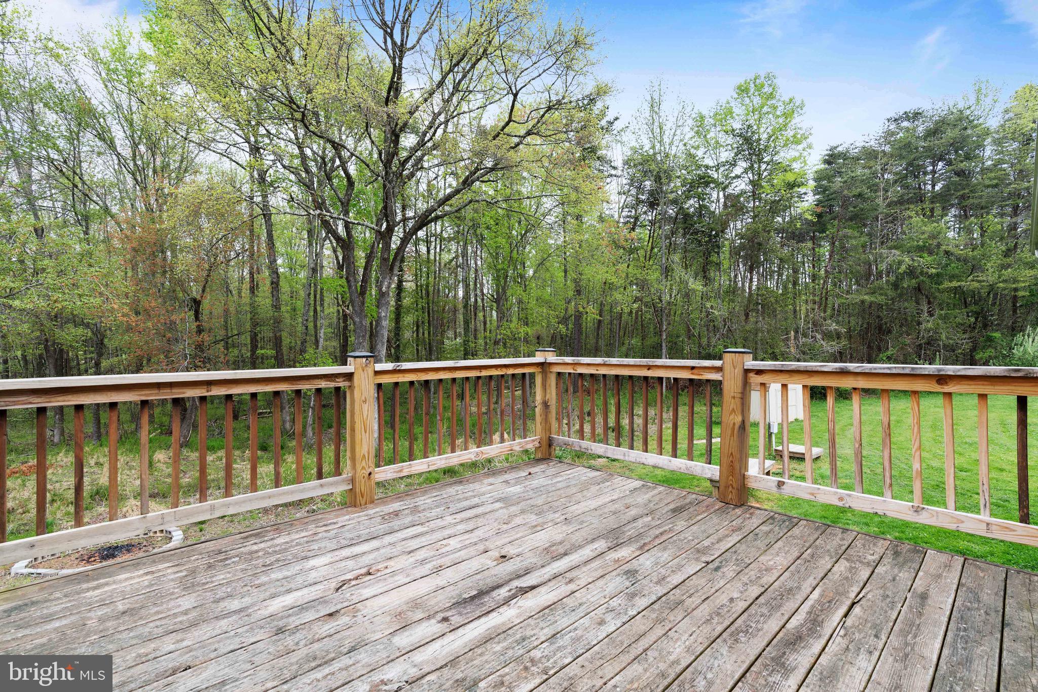 119 Range Road Louisa, VA 23093 - Photo 32 of 40