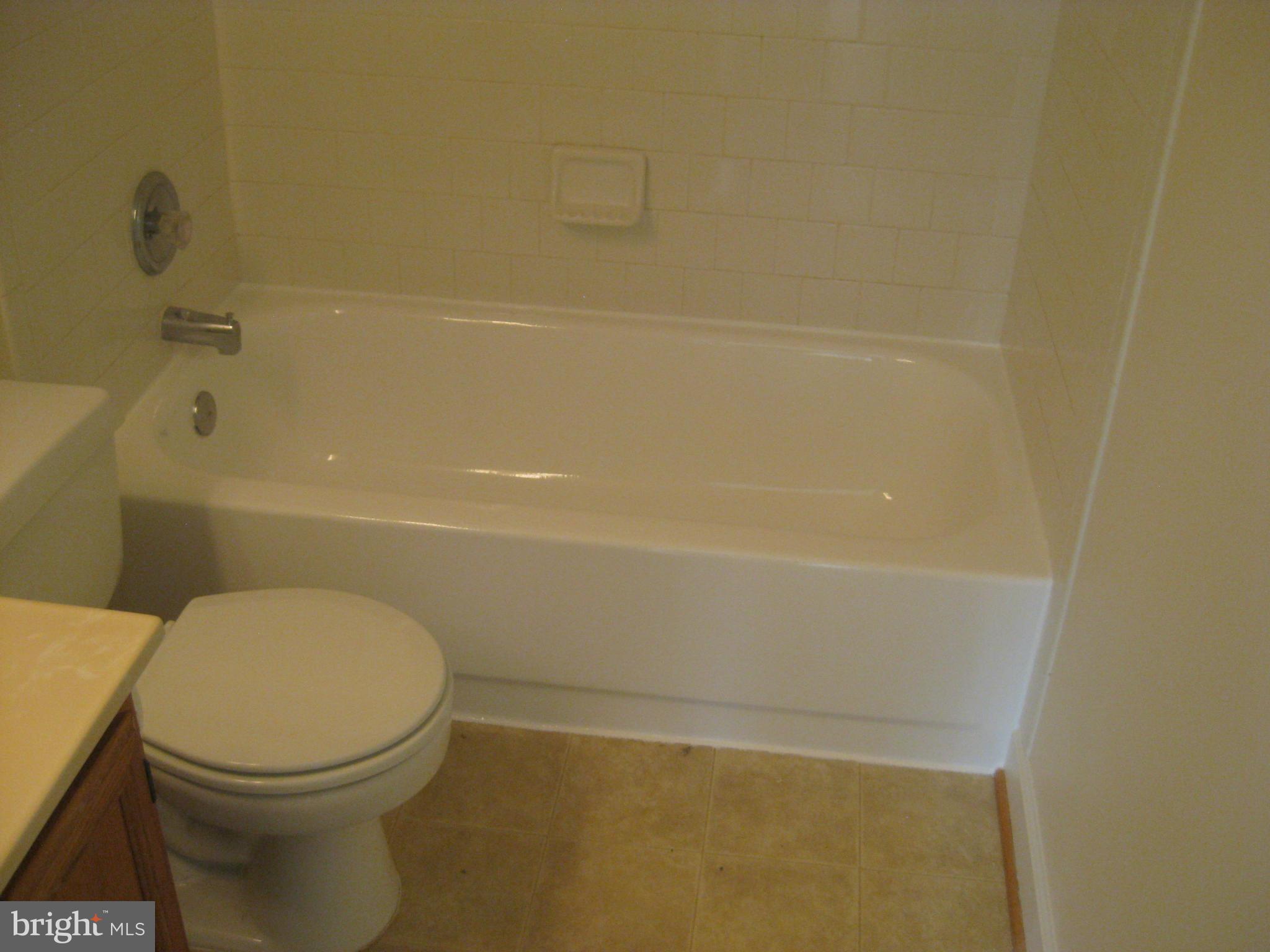 6440 View Point Court Frederick, MD 21703 - Photo 10 of 21 Bath (Master)