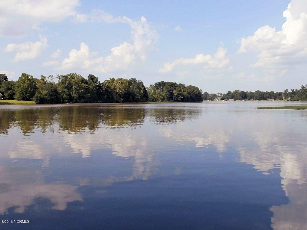 6907 Riverpoint Road Elm City, NC 27822 - Photo 2 of 44 A Little Heaven on Earth - One of many Water Views from this 1 level Executive Home with 434 feet of Water Frontage.