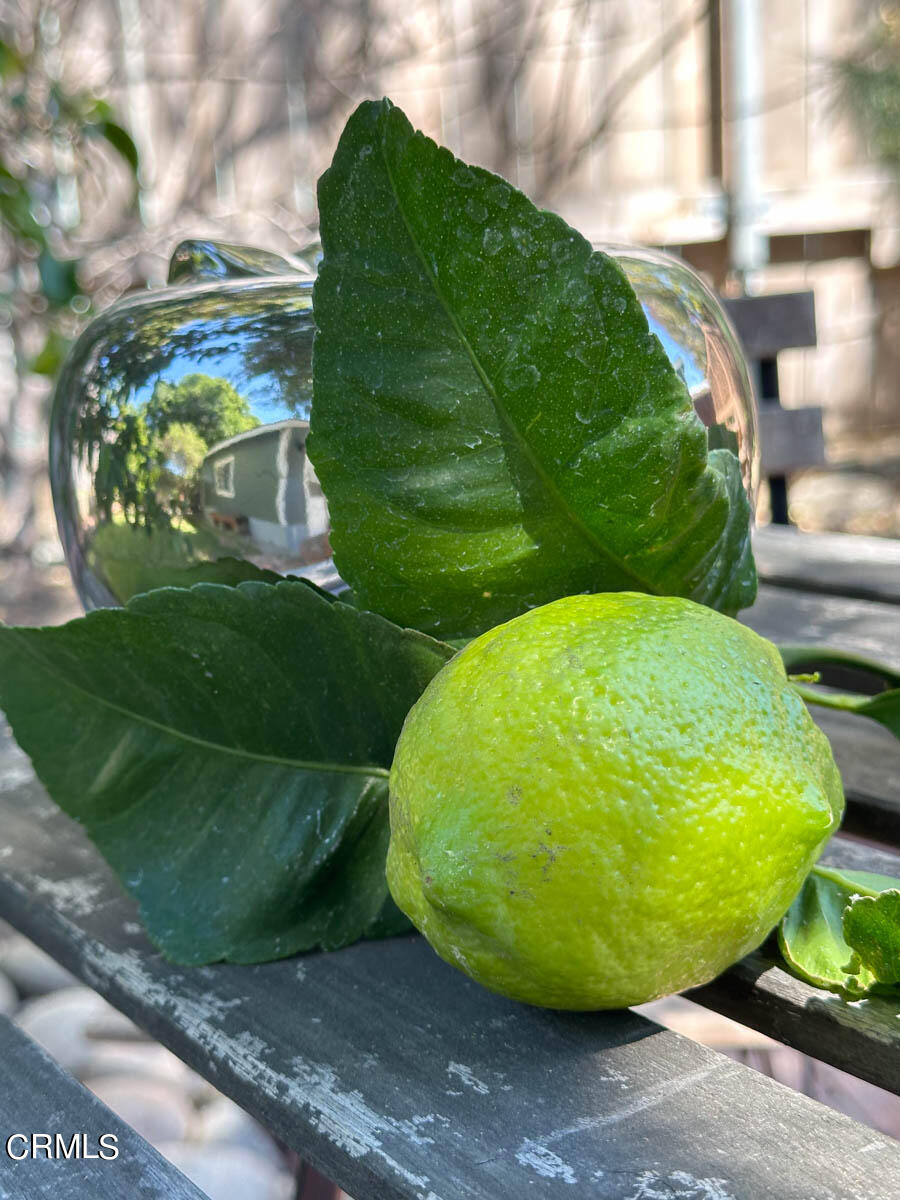 149 Grand Avenue Monrovia, CA 91016 - Photo 33 of 50 a view of a swimming pool in a backyard