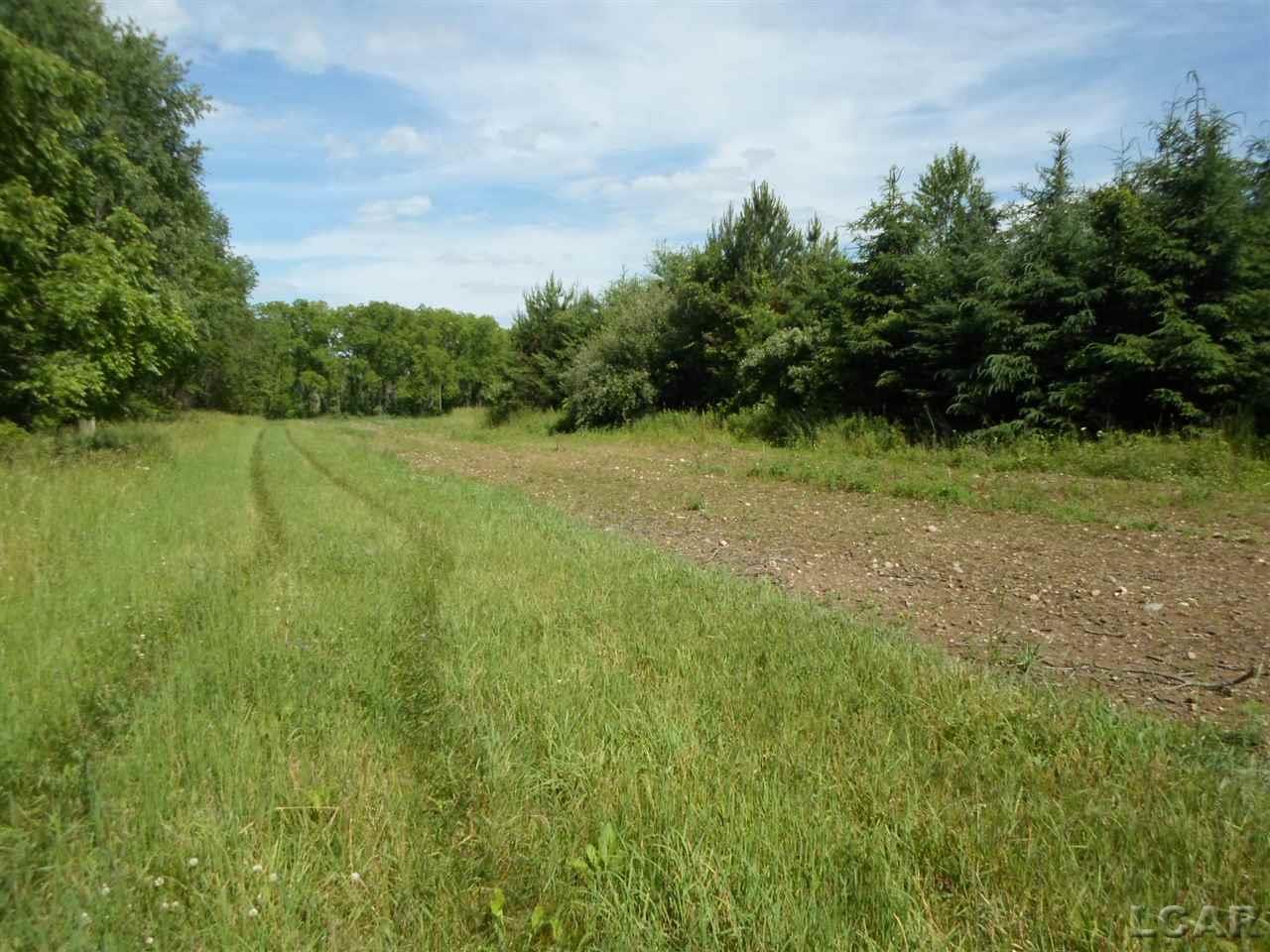 12000 Stephenson Road, Unit PARCEL A Brooklyn, MI 49230 - Photo 38 of 49