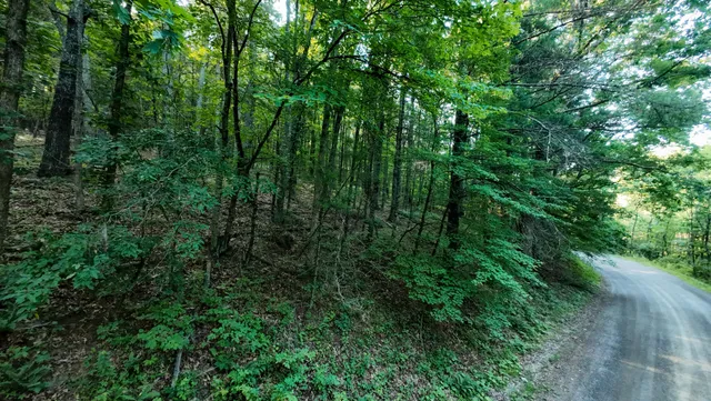 $158,500 | 2 Merifield Road Northwest, Willis, VA 24380