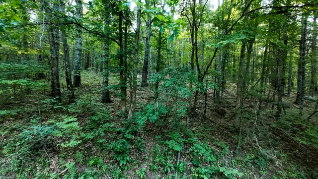 $158,500 | 2 Merifield Road Northwest, Willis, VA 24380