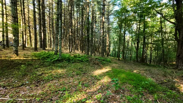 $158,500 | 2 Merifield Road Northwest, Willis, VA 24380