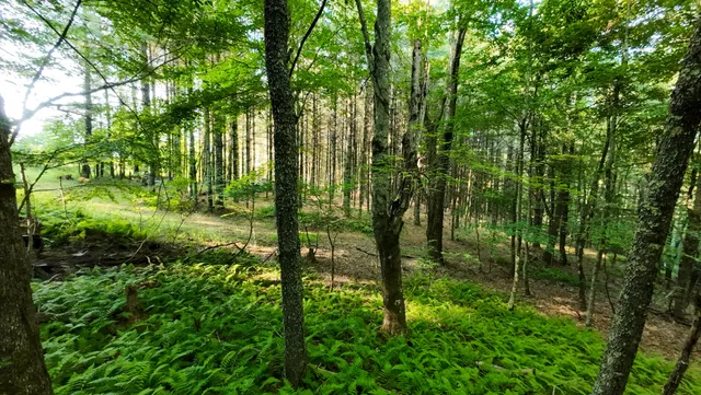 $158,500 | 2 Merifield Road Northwest, Willis, VA 24380