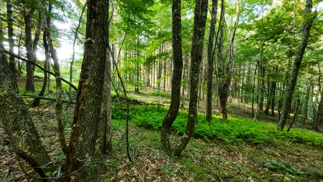 $158,500 | 2 Merifield Road Northwest, Willis, VA 24380