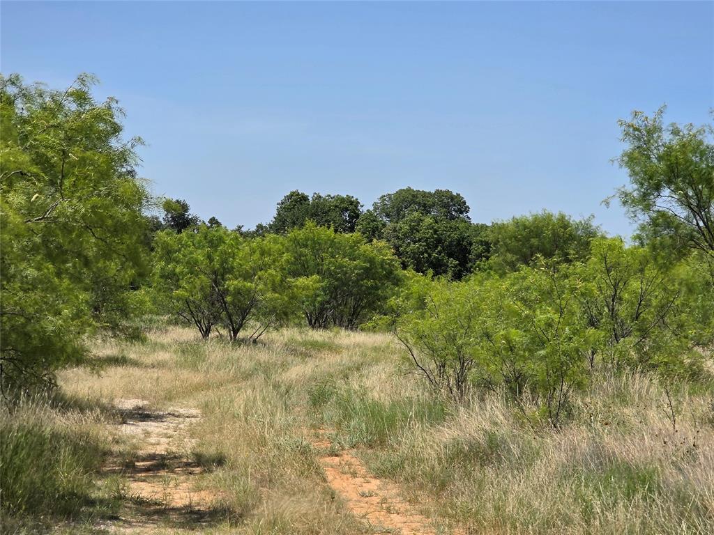 1000 County Road 375 Rising Star, TX 76471 - Photo 2 of 40