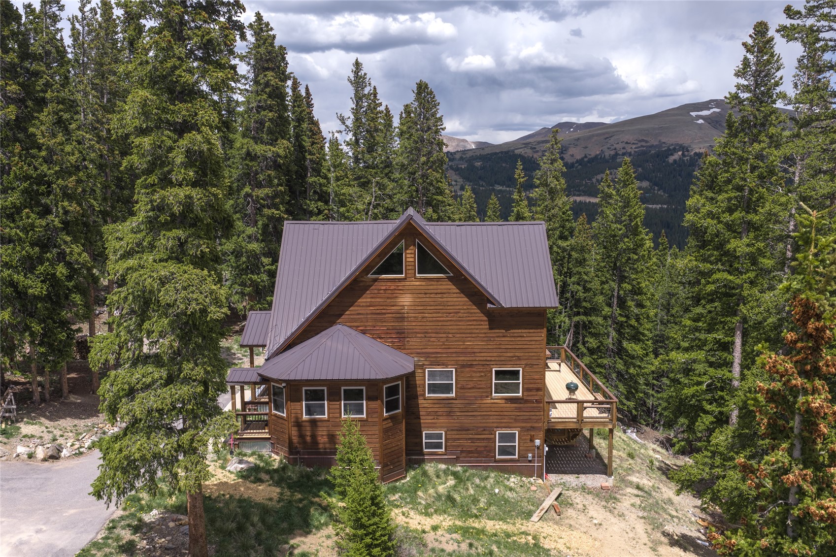 62 Lazy Rex Road Alma, CO 80420 - Photo 41 of 47