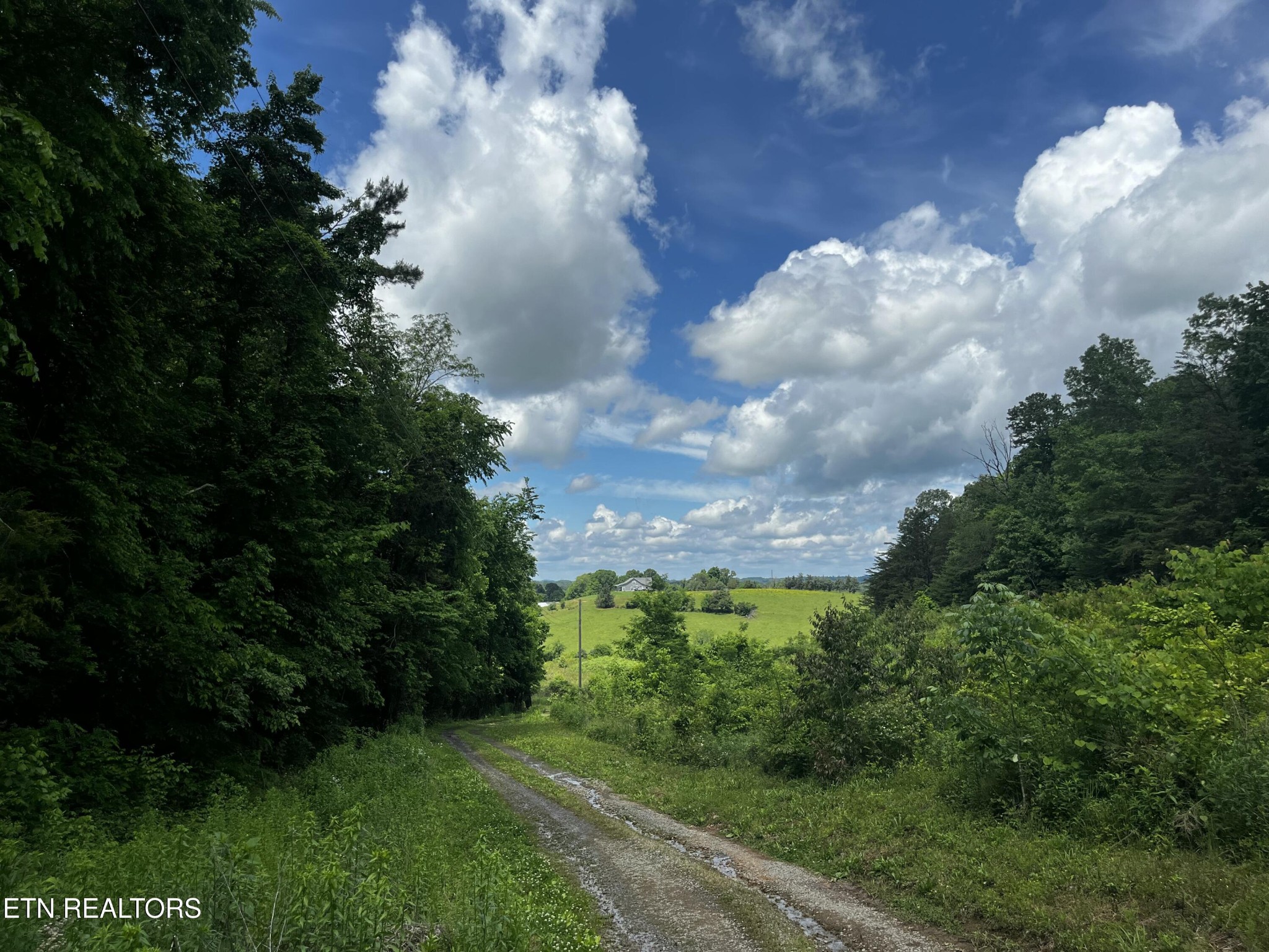 0 Parcel 101 Sharp Road Sevierville, TN 37876 - Photo 1 of 9 Gallery Image 1